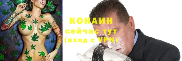 соль ск Осинники