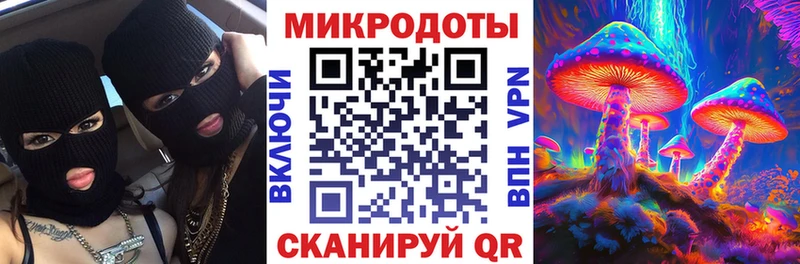 Псилоцибиновые грибы Psilocybine cubensis купить наркотики сайты сайты даркнета какой сайт Спас-Клепики